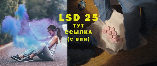 ГАЛЛЮЦИНОГЕННЫЕ ГРИБЫ Балабаново