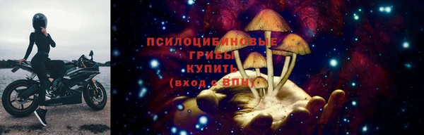 стафф Белоозёрский