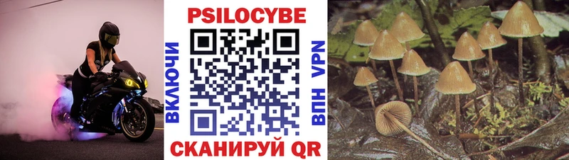 Псилоцибиновые грибы Magic Shrooms  Новоузенск 